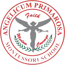 APMS